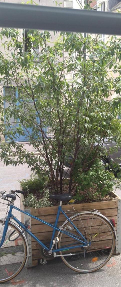 Appartement De Ville Ναντ Εξωτερικό φωτογραφία